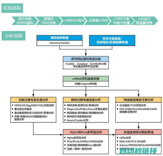 技术探讨与实际应用 (技术探讨与实践的关系)