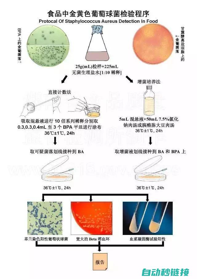 实验过程中的安全操作规范及案例分析 (实验过程中的变化因素被称为什么)